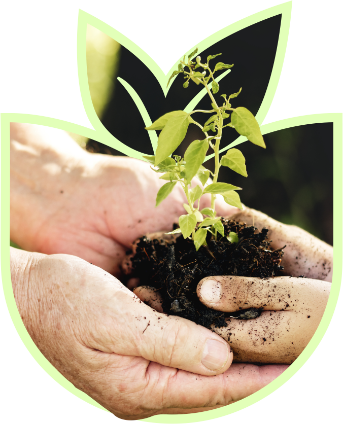 valores-quattrading-familia-fertilizante.png