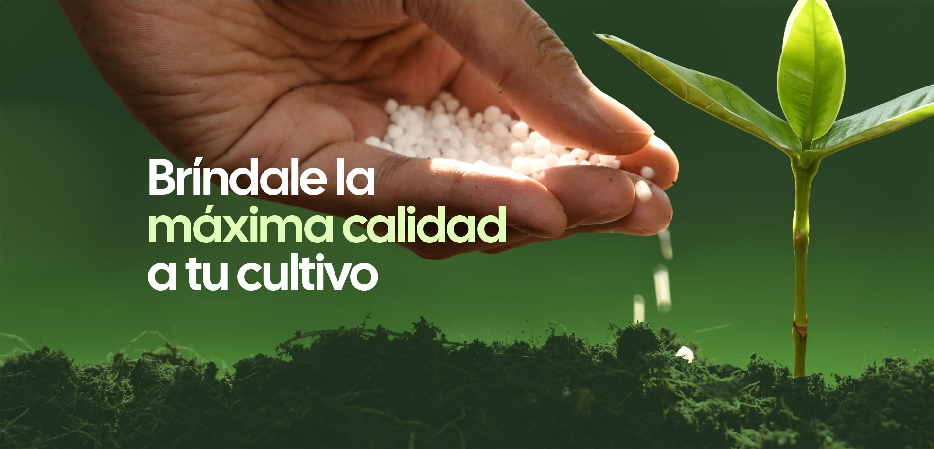 brindale-la-mxima-calidad-a-tu-cultivo