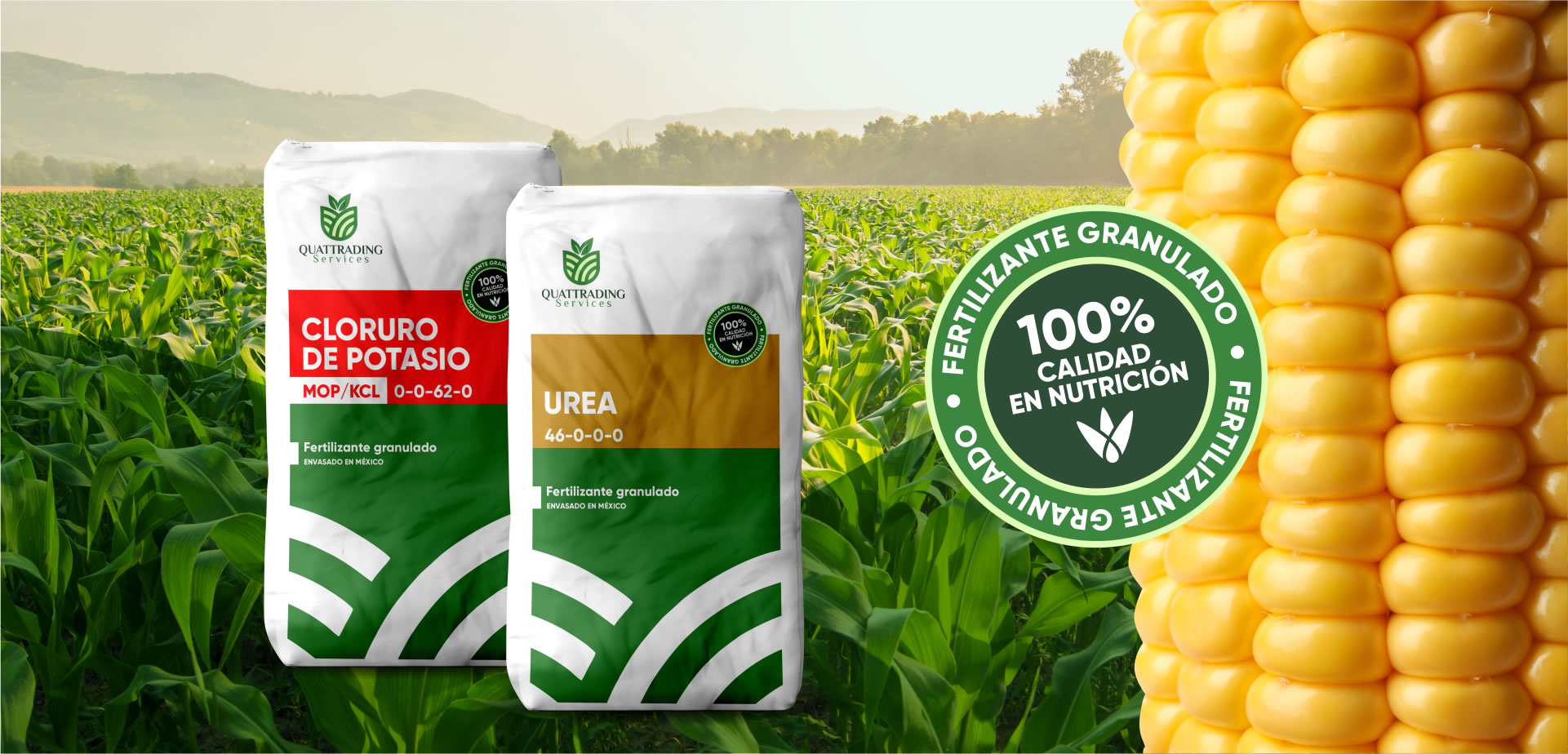 fertilizante-organico-cultivo-maiz